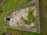 image of grave number 683784